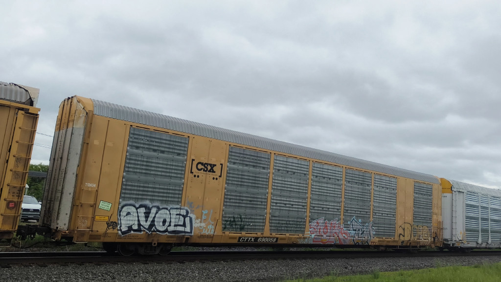 CSX T12434 (Body) CTTX 690058 (Flat)